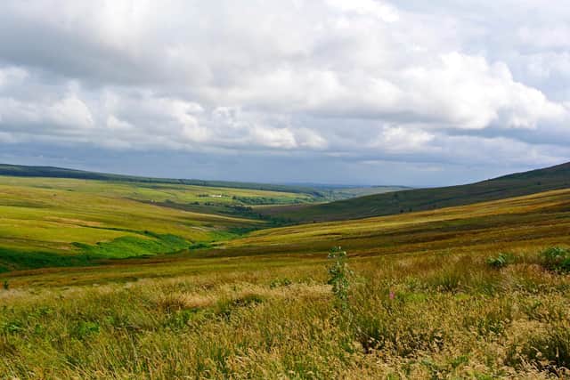 Around 5,300 acres of Langholm Moor will now be turned into a nature reserve after the surrounding community bought over the land. PIC: Contributed/Tom Hutton.