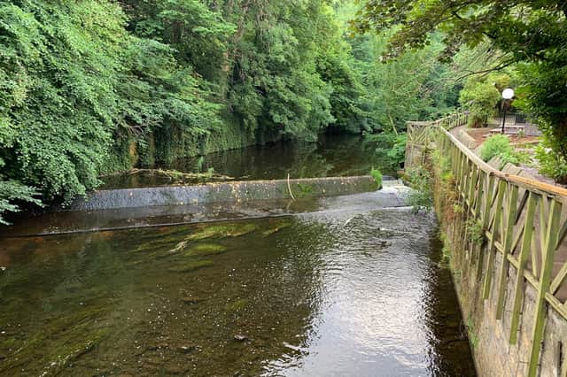 Moss growing on a weir on the Water of Leith, with the river reduced to a small channel on the right, shows how long water levels have been low (Picture: Ian Johnson)