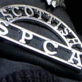 Scottish SPCA issue warning to be vigilant as scammers pretend to be from the animal welfare charity