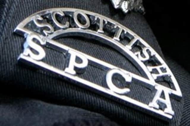 Scottish SPCA issue warning to be vigilant as scammers pretend to be from the animal welfare charity