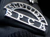 Scottish SPCA issue warning to be vigilant as scammers pretend to be from the animal welfare charity