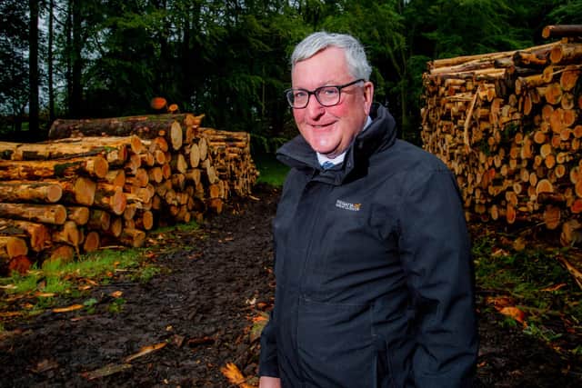 Ewing says forestry has a key role to play in the Covid-19 green recovery. Picture: Alan Peebles.