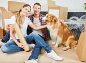Moving home is an exciting - but stressful - time for both you and your dog.