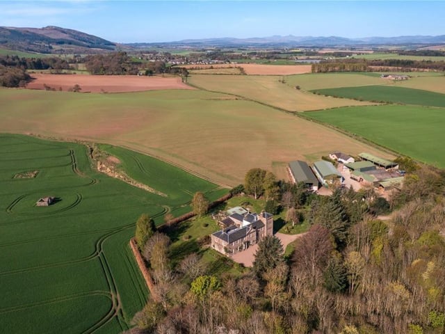 Aerial view.