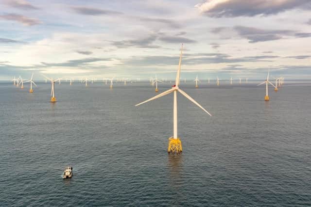 The proposed Berwick Bank wind farm, 20 miles east of St Abbs Head, consists of 307 turbines.