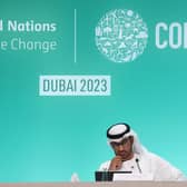 Concern is growing about the failure of the international COP climate change summits to stop the rise of greenhouse gas emissions (Picture: Sean Gallup/Getty Images)