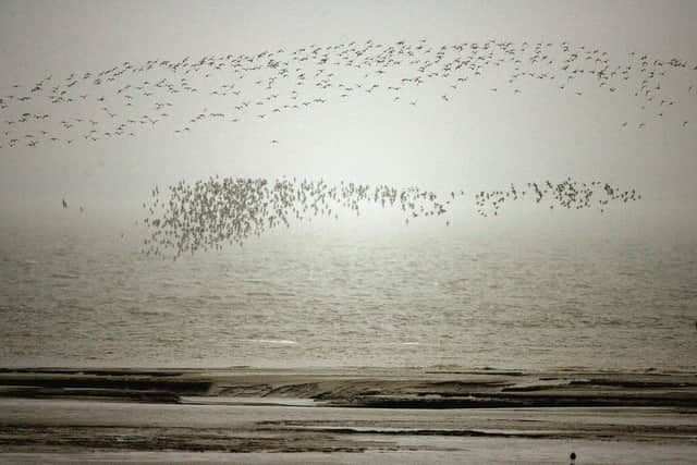 The Solway Firth PIC: Jeff J Mitchell/Getty Images