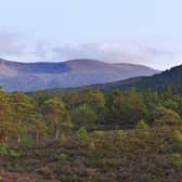 The Cairngorms National Park could be net zero within the next three years.