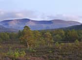 The Cairngorms National Park could be net zero within the next three years.