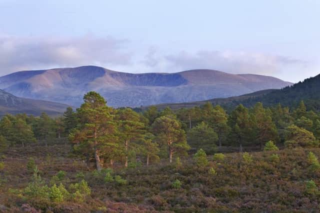The Cairngorms National Park could be net zero within the next three years.