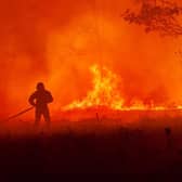 A firefighter battles a wildfire near the village of Saumos, southwestern France, in September last year (Picture: SDIS33 fire brigade via AP)