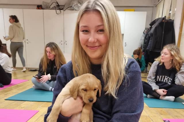Puppy Yoga participant with Labrador pup