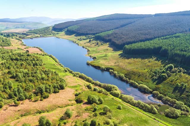 In its first year, the partnership will focus on woodland creation and restoration across 1,200 hectares of conservation land. Picture: Angus Mackie