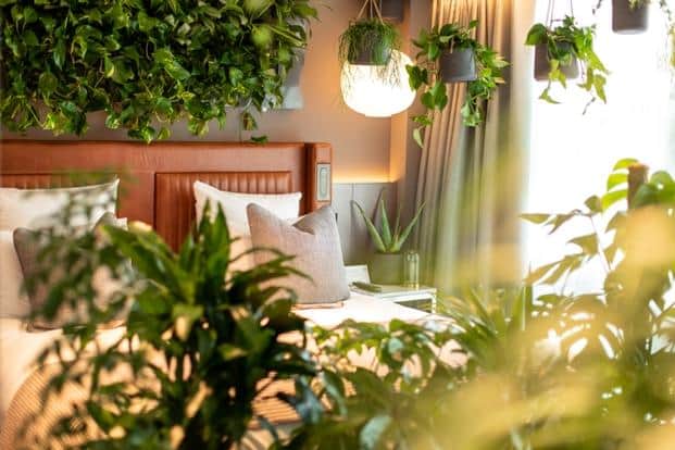 La Chambre Verte, the first biophilic hotel experience in Scotland, has been unveiled at Glasgow’s upmarket Kimpton Blythswood Square