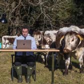 Photo of Stephen Nasrat of the Finderne Development Trust at work in a field of cows in rural Moray, Scotland. Residents have been complaining about poor internet speed in their community picture: PA/Coran Gleed