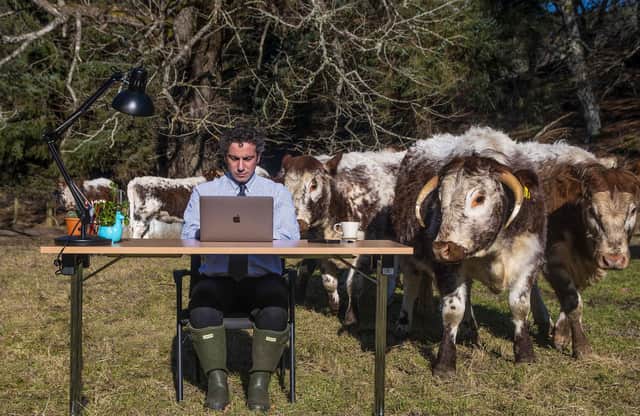 Photo of Stephen Nasrat of the Finderne Development Trust at work in a field of cows in rural Moray, Scotland. Residents have been complaining about poor internet speed in their community picture: PA/Coran Gleed