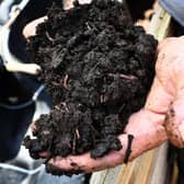 Healthy soil is full of worms and a host of other organisms (Picture: Anne-Christine Poujoulat/AFP via Getty Images)