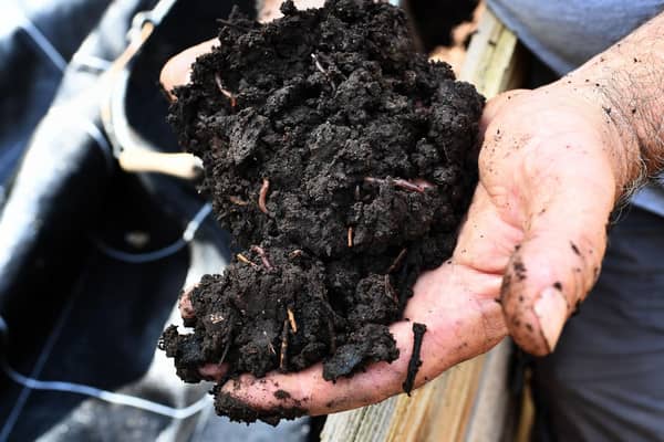 Healthy soil is full of worms and a host of other organisms (Picture: Anne-Christine Poujoulat/AFP via Getty Images)