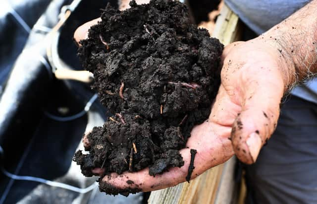 Healthy soil is full of worms and a host of other organisms (Picture: Anne-Christine Poujoulat/AFP via Getty Images)