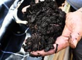Healthy soil is full of worms and a host of other organisms (Picture: Anne-Christine Poujoulat/AFP via Getty Images)