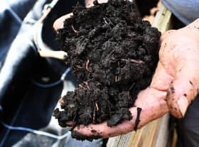 Healthy soil is full of worms and a host of other organisms (Picture: Anne-Christine Poujoulat/AFP via Getty Images)