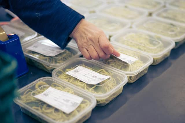 Hundreds of volunteers of all ages cook and deliver meals for Empty Kitchens Full Hearts, learning important new skills and gaining employability through experience. Picture: Scott Barron