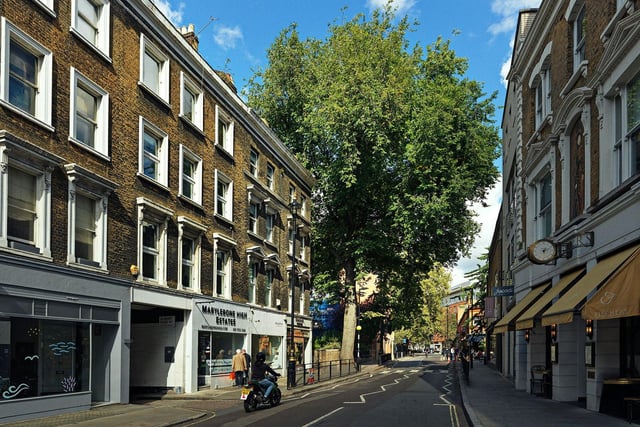Elm in Marylebone High Street, London
