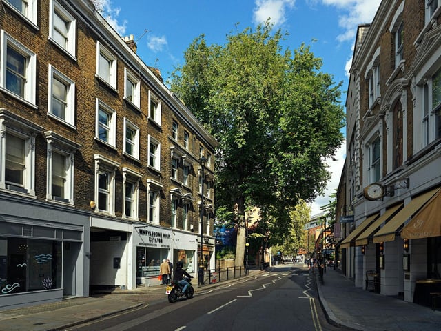 Elm in Marylebone High Street, London