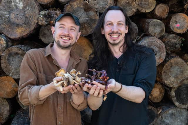 Smith Feeney and Erik Lang of Love Mushrooms. Picture: Jason Hedges/DC Thomson
