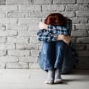 The Scottish Conservatives have announced their calls for a domestic abuse register.