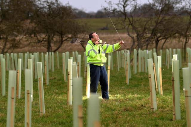 Tree planting may not always be the best solution, writes Dr Ruth Mitchell. Picture: Simon Hulme