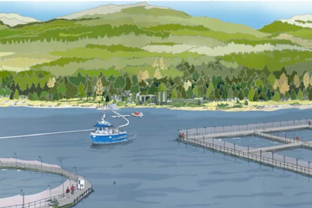 This visualisation shows what the proposed 8,000-tonne salmon farm in Loch Linnhe would look like. Picture: LLSC