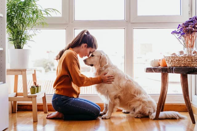 You're never alone when you have a dog