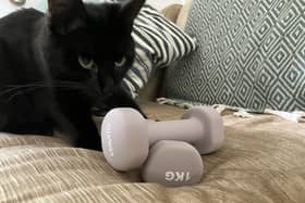 Mum's the Word. Cats and dumbells make excellent exercise aids. Pic: J Christie
