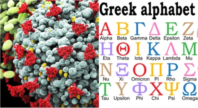 Coronavirus Who Renames Covid 19 Variants With Greek Letters To Avoid Stigma The Scotsman