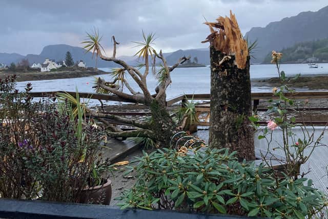Plockton is renowned for the palm trees lining its main street, planted in the 1950s and featuring in countless photographs and postcards over the decades. Picture: Kathleen Macrae