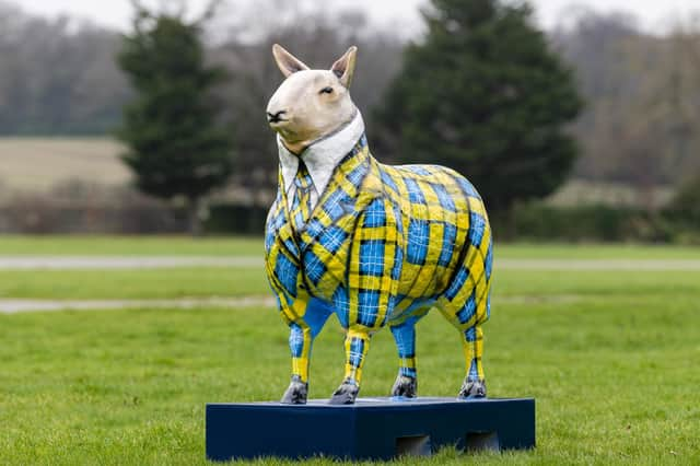 Doddie’s Sheep by Megan Reilly