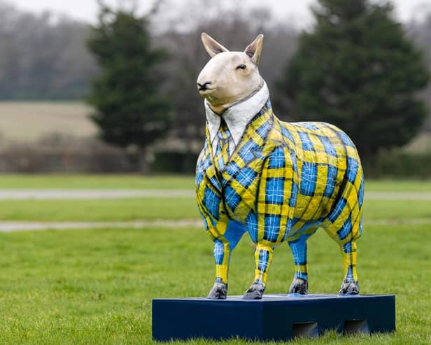 Doddie’s Sheep by Megan Reilly