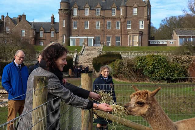 Mairi Gougeon meets one of the school's alpacas.