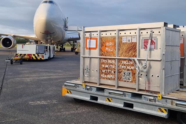 Benji and Balu arrive at Glasgow Prestwick
