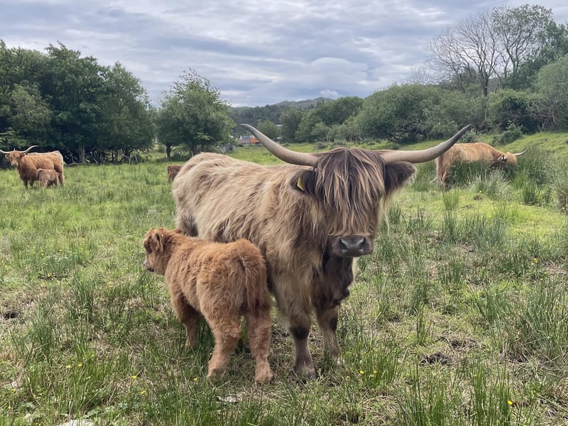 Margo and her baby pose for the camera