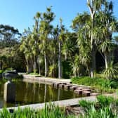 Logan Botanic Garden, near Stranraer in Dumfries and Galloway, is a regional outpost of the Royal Botanic Garden Edinburgh and home to a huge variety of exotic plants