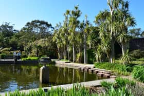 Logan Botanic Garden, near Stranraer in Dumfries and Galloway, is a regional outpost of the Royal Botanic Garden Edinburgh and home to a huge variety of exotic plants