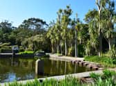 Logan Botanic Garden, near Stranraer in Dumfries and Galloway, is a regional outpost of the Royal Botanic Garden Edinburgh and home to a huge variety of exotic plants
