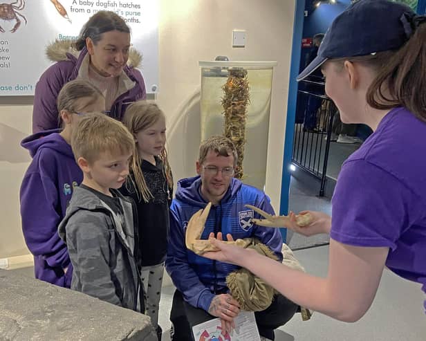 ​The latest survey is around learning at the aquarium.