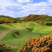 The Braids, one of the top municipal courses in Scotland, had proved particularly popular with pay-and-play golfers over the past six months
