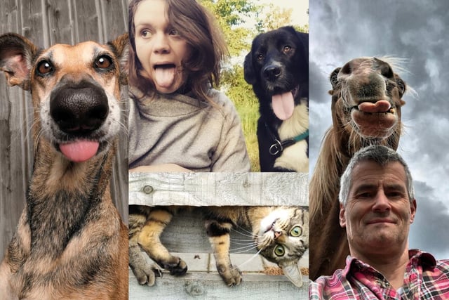 Winners of the Mars Petcare Comedy Pet Photography Awards have been announced picture: PA