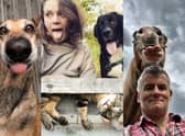 Winners of the Mars Petcare Comedy Pet Photography Awards have been announced picture: PA
