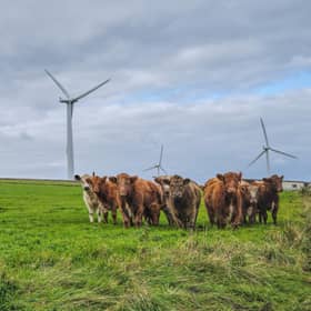 Wind is a woeful form of renewable, writes reader (Picture: George Maciver/Adobe)