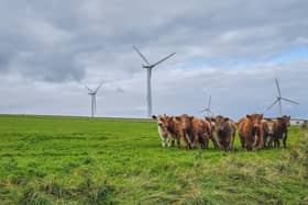 Wind is a woeful form of renewable, writes reader (Picture: George Maciver/Adobe)